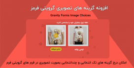 افزونه گزینه های تصویری گرویتی فرمز | Gravity Forms Image Choices